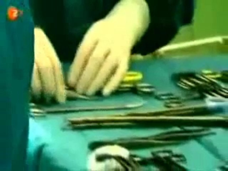 Royal lovestory victoria & daniel von schweden teil 5