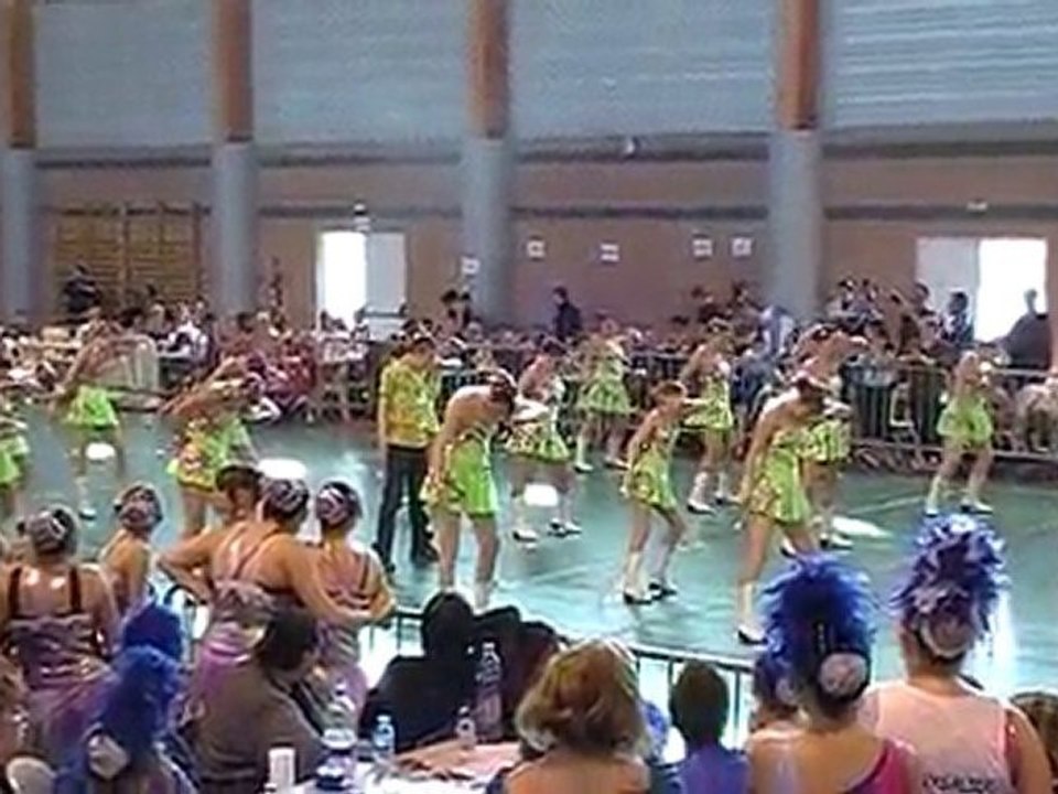 Programme 2010 des HIRONDELLES DE MERICOURT