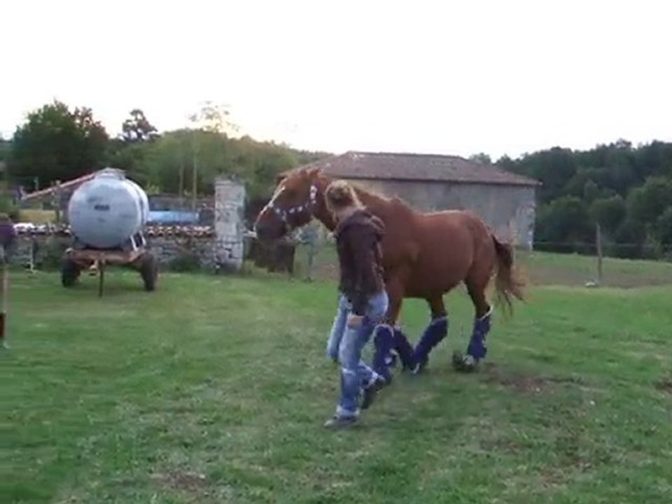 Transport 1