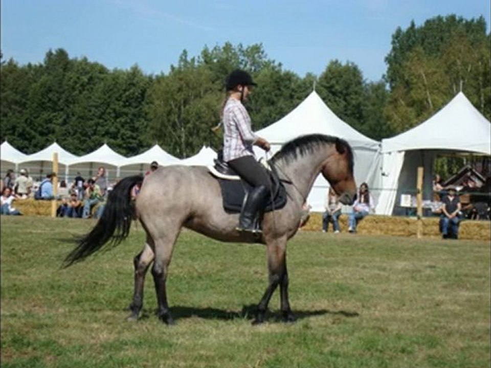 Démos Jasna et Machado la Cense 2010