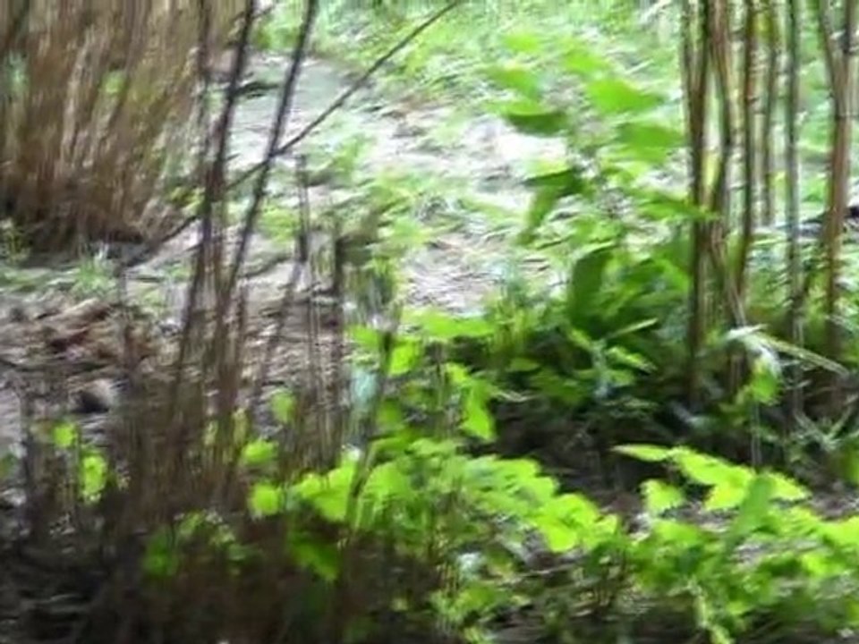 zooduisburg2010