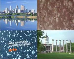 Mâles en péril Trailer long (Doc intégral en dessous)