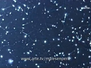 Mâles en péril (extrait 1)