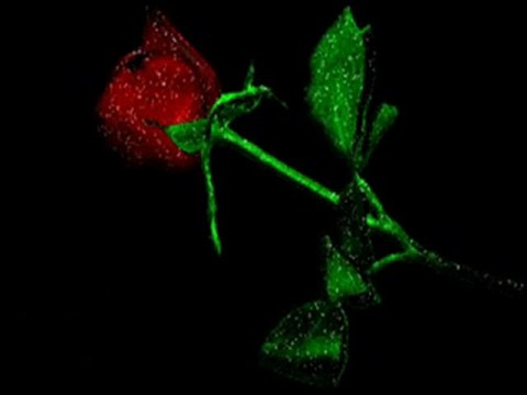 Oğuz esen-03Mustafa - Sensiz Kaldım