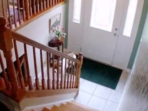 Homes for Sale - 1015 Aimtree Pl - Schaumburg, IL 60194 - Co