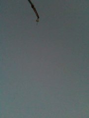 herşeyden işte bu kadar sıkılmış olabilirim.. :)