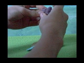 Pâtes Attack (Hugo Riou)