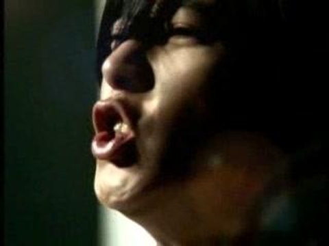 Kitty GYM - CM Volley Championnats