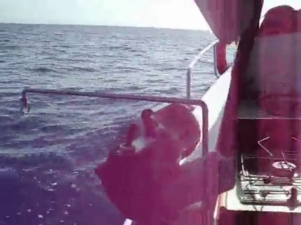 2 ekim 2010 derinsu balık avı