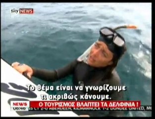 pagritianews.gr- Ο τουρισμός βλάπτει τα δελφίνια