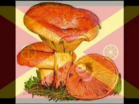 La Tieta Cisqueta després de la caiguda, by Ona Radio Quim Pedret