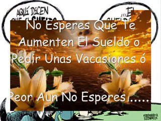 Escapatoria de Afiliados, dinero en la red