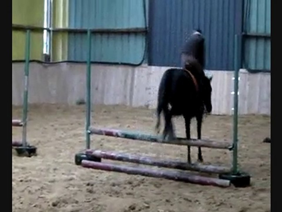 Cafouille obstacle ponette sport