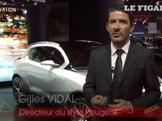 Mondial de l'Auto 2010 : les concept-cars français