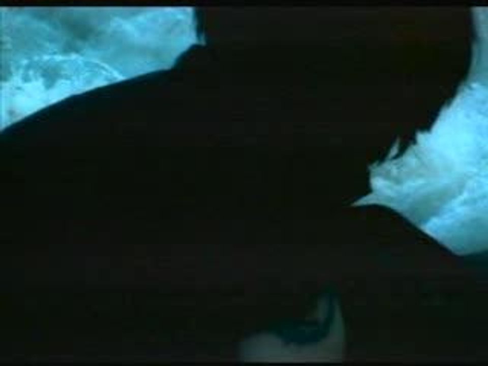 Zemfira_-_SPID
