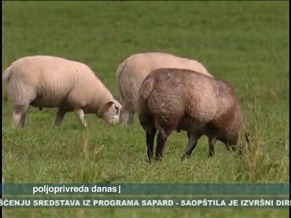Poljoprivreda danas 04.10.2010.