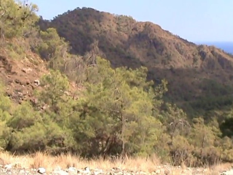 Çıralı Yanartaş, Doğa Ve Yaşam - Chimera Nature, Sea, Life