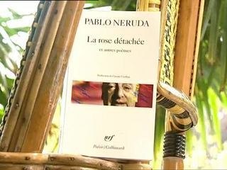 Pablo Neruda : La rose détachée