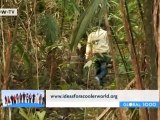 Protection of Guyanas Rainforest | Global 3000