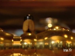 Philippe Besson : Les jours fragiles