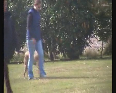 Cheyenne en obé a hanches