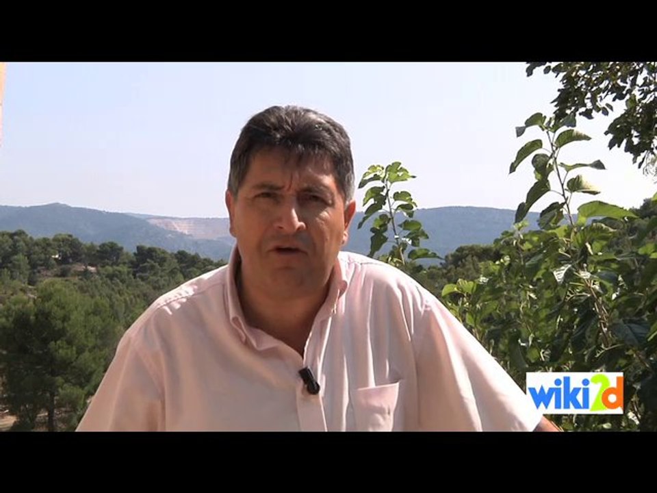 Alain Belviso, Président de la Communauté d'Agglomération