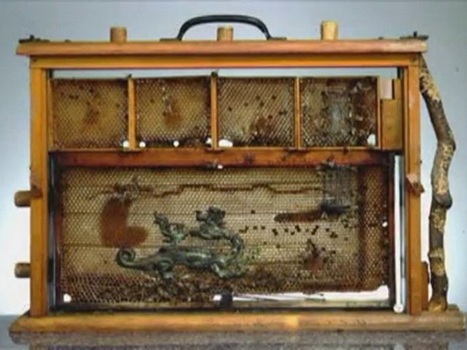 Alan Glass (bande annonce