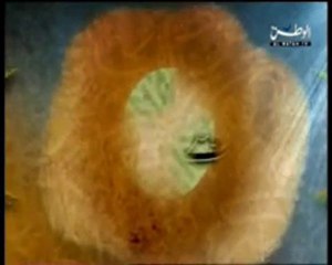 Song of the second part program viewer channel home  Kuwait