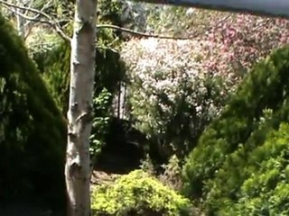 bienvenue chez nous à Mooroolbark