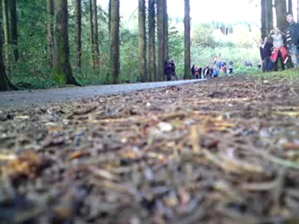 Rally de France WRC 2010