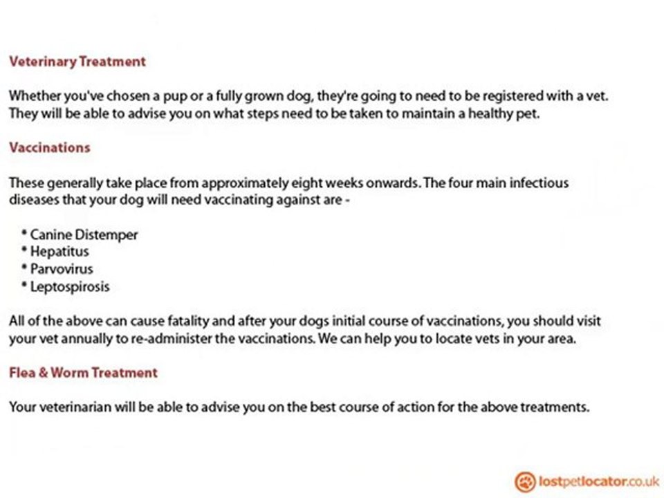 Find Lost Pets, Lost Pet Finder, Lost Pet Locator