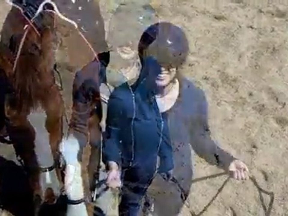How to dismount a horse