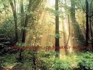 BU TELKİNLERLE İSTEKLERİNİZİ GERÇEKLEŞTİRİN (ÇEKİM YASASI)