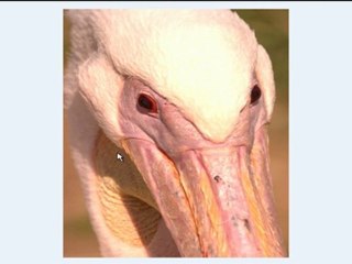 Guide to Converting CRW Files to JPEG