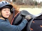 How to get on your horse (