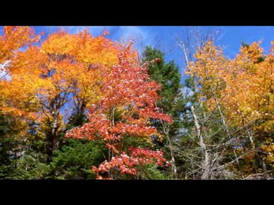 Laurentides 2010 - Chalet l'Entre Amis