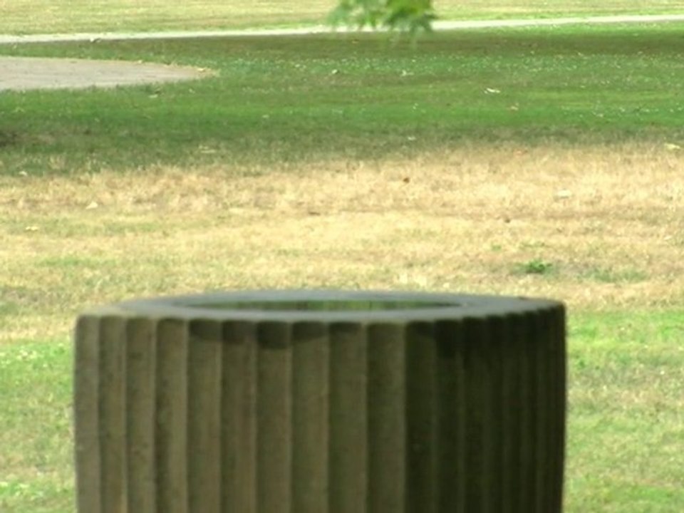 Erfrischung im Park
