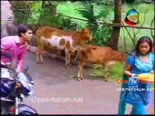 Bhauji No 1 - 4th October - pt2