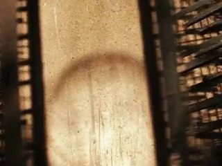 Testere 7 3D fragman HD