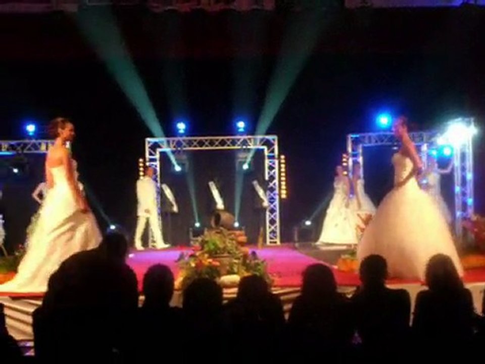 ELECTION DE MISS OISE 2010 COMITE GENEVIEVE DE FONTENAY