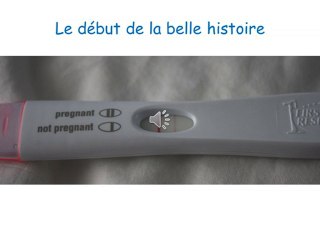 Evolution de la grossesse