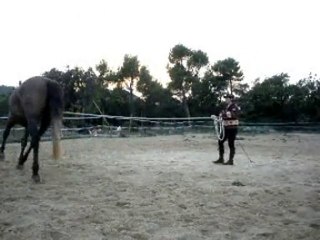 Galatéo en longe + médiacan !