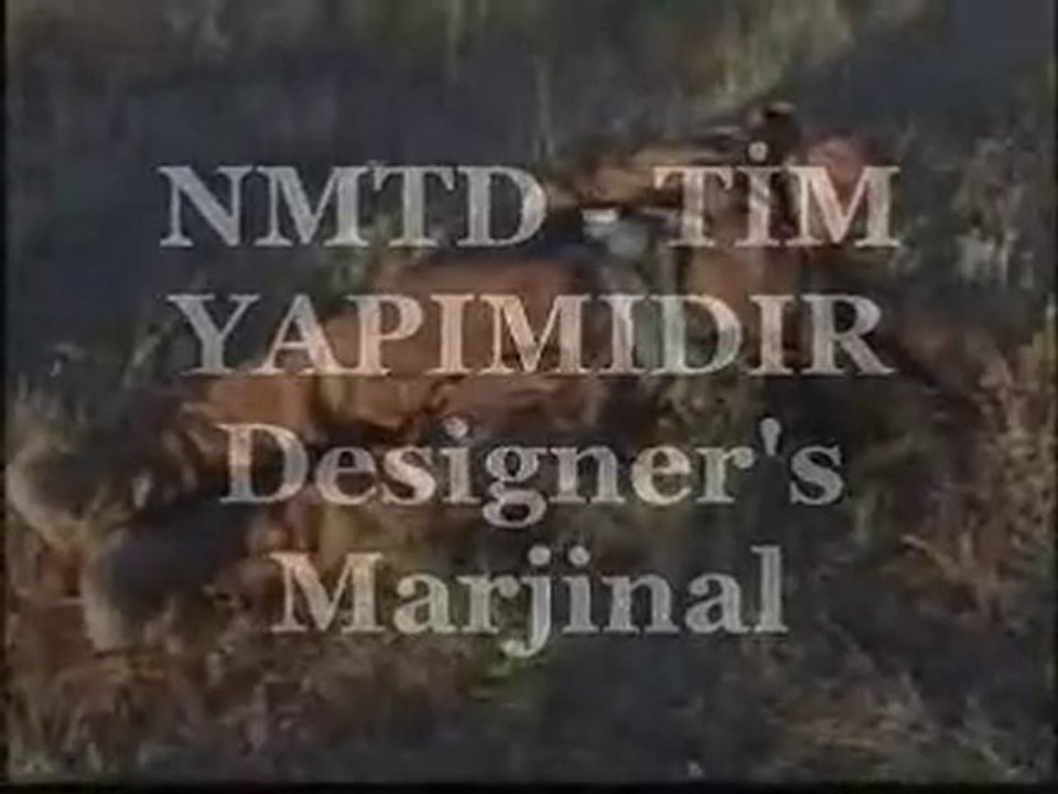 Stratejik Düşmanlara Stratejik Cevap !!!