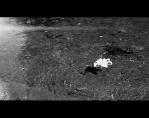 Sadem Soner Sarıkabadayı