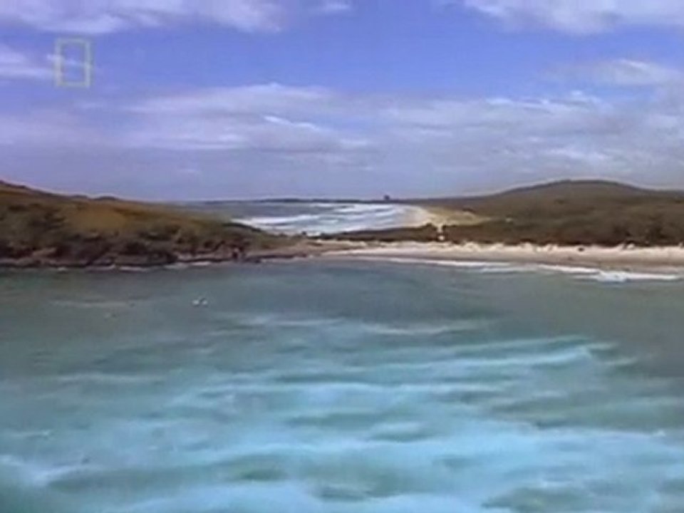 World'sadliest Animals Australia Dvb Xvid-Mvgroup.AVI