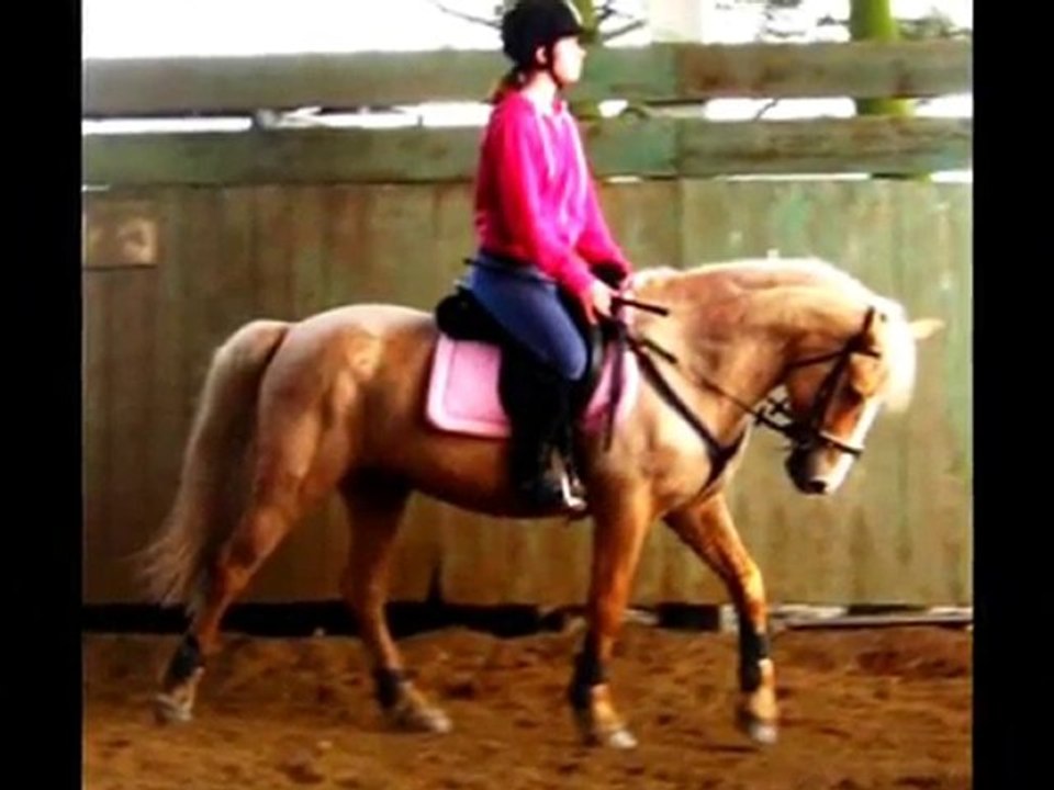 Video lynx 2010_0001