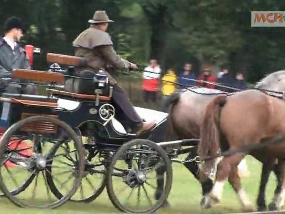 Cheval de trait Breton, attelage