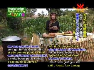 Ancient Recipes of the Indigenous Bunun Tribe