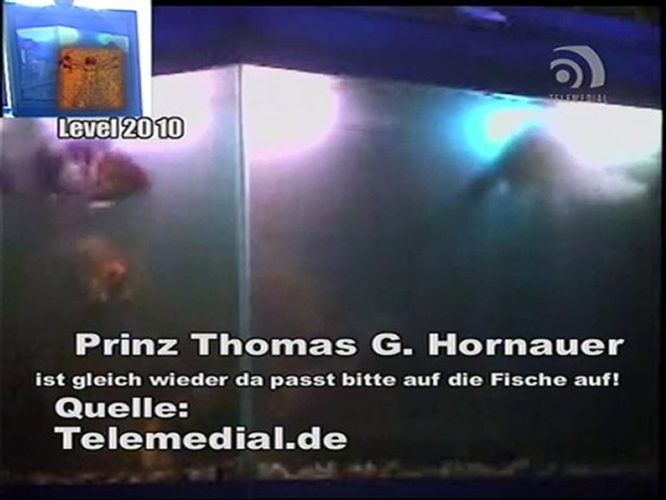 Kanal Telemedial - Shark Tale 07 - April 23, 2010