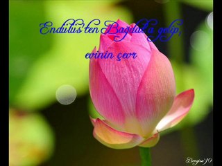 Efendimiz (s.a.v)'e düşülmüş notlar...